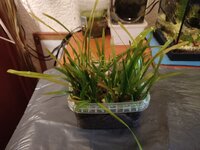 IMG_20230511_201129.jpg