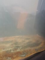 20231027_152103.jpg