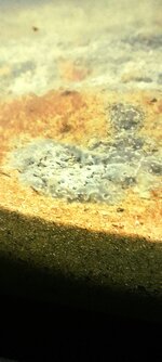 20231027_012337.jpg