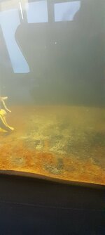 20231026_173935.jpg
