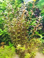 IMG_20231113_195459.jpg