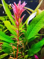 IMG_20231115_205037.jpg