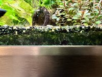 IMG_1684.jpeg