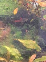 20231224_163123.jpg