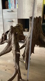 image2 (14).jpeg