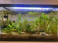 remco-tank.jpg remco-tank.jpg