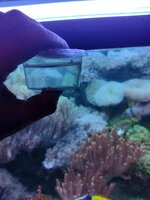 IMG_20240109_204014698.jpg
