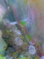 IMG_20240109_204121452.jpg