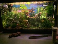 IMG_7023.jpeg