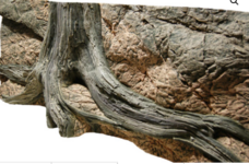 Arstone wand.PNG