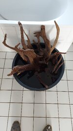 190780e5-7005-48b3-b784-52ce0be8c412.jpeg