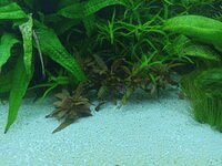 IMG_20240201_180710.jpg