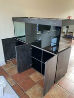 IMG_1001.jpeg