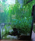 20240218_151610.jpg