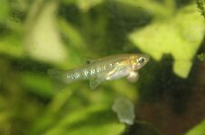IMG_1725.jpg