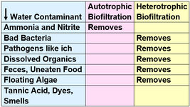 6.5.-Biofiltration-Bacteria-1.jpg