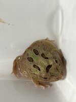 IMG_2555.jpeg