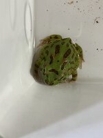 IMG_2554.jpeg
