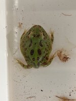 IMG_2551.jpeg