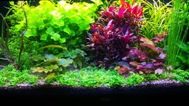 IMG_20201003_154851.jpg IMG_20201003_154851.jpg