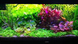 IMG_20201015_100852.jpg IMG_20201015_100852.jpg