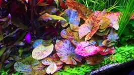 IMG_20201017_200318.jpg IMG_20201017_200318.jpg