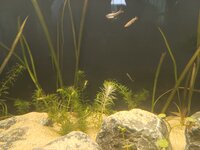 20240422_093357.jpg