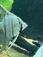 IMG_1228.jpeg