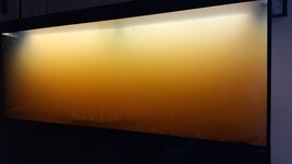 20240506_082821.jpg