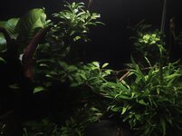 IMG_0168.jpeg IMG_0168.jpeg