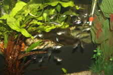 IMG_2857.JPG IMG_2857.JPG