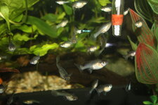 IMG_2859.JPG IMG_2859.JPG