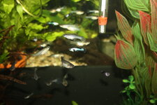 IMG_2861.JPG IMG_2861.JPG