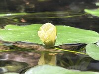 IMG_0829.jpeg