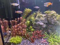 IMG_3033.jpeg