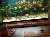 1726156451758944777163.jpg 1726156451758944777163.jpg