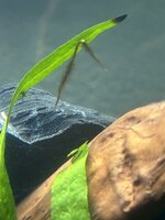 IMG_0296.jpeg