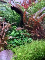 IMG_3864.jpeg IMG_3864.jpeg