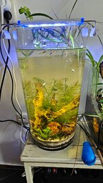 20240917_101839.jpg