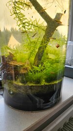 20240917_103040.jpg