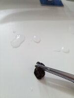 20240927_101127.jpg