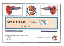 Certificaat double sword 2nd place.jpg