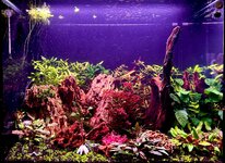 Afbeelding van WhatsApp op 2025-01-03 om 13.58.49_84f972ba.jpg