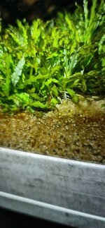 VideoCapture_20250127-061526.jpg