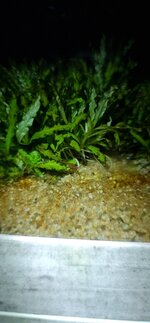 VideoCapture_20250127-061605.jpg
