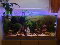 WhatsApp Image 2025-02-11 at 21.48.09.jpeg