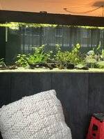 IMG_1963.jpeg