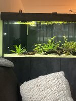 IMG_1962.jpeg