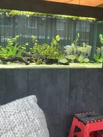 IMG_1961.jpeg