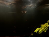 IMG_3003.jpeg